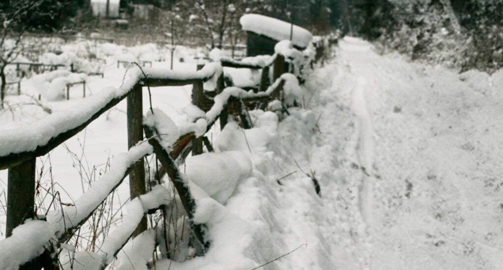 Slawit Snowstorm Shuffle